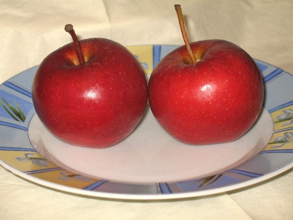ungeschälte Äpfel